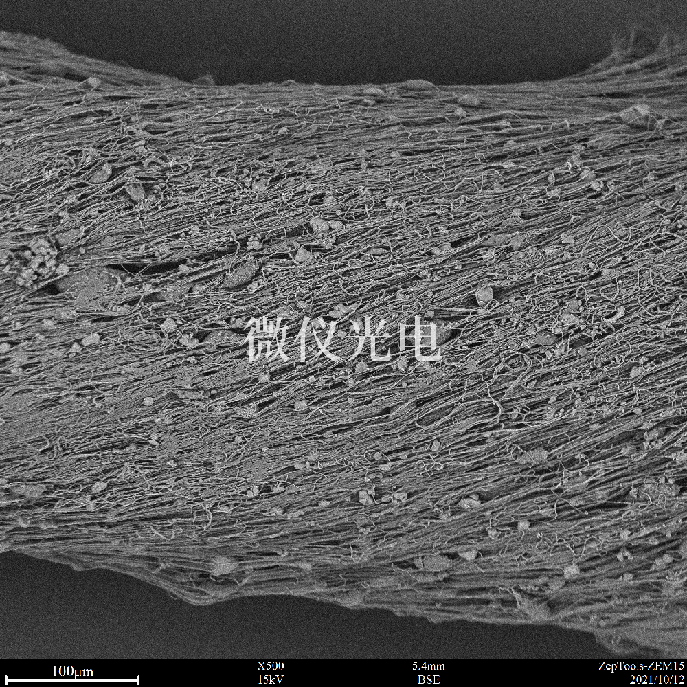 掃描電鏡應(yīng)用領(lǐng)域介紹和使用掃描電鏡時(shí)圖像質(zhì)量差改善的方法有哪些？
