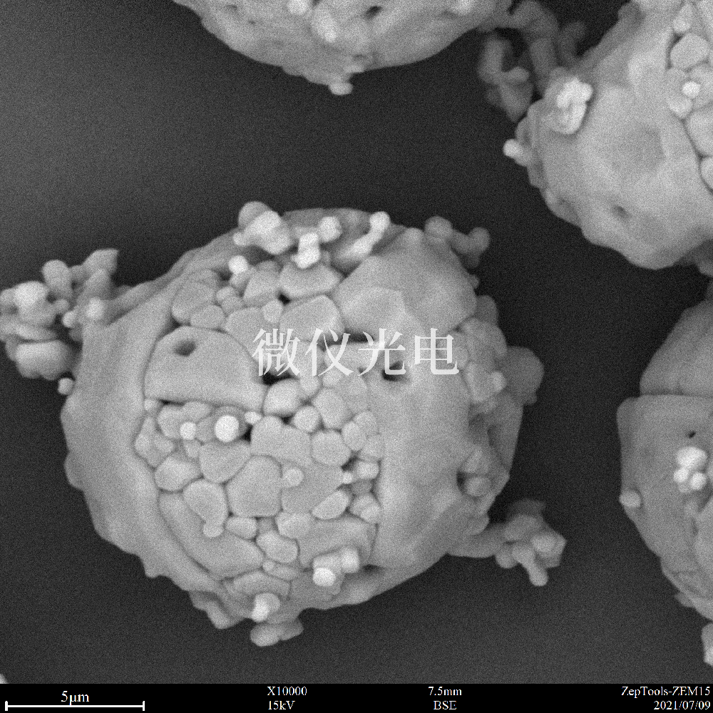 臺式掃描電鏡與傳統(tǒng)落地式掃描電鏡有什么區(qū)別呢？