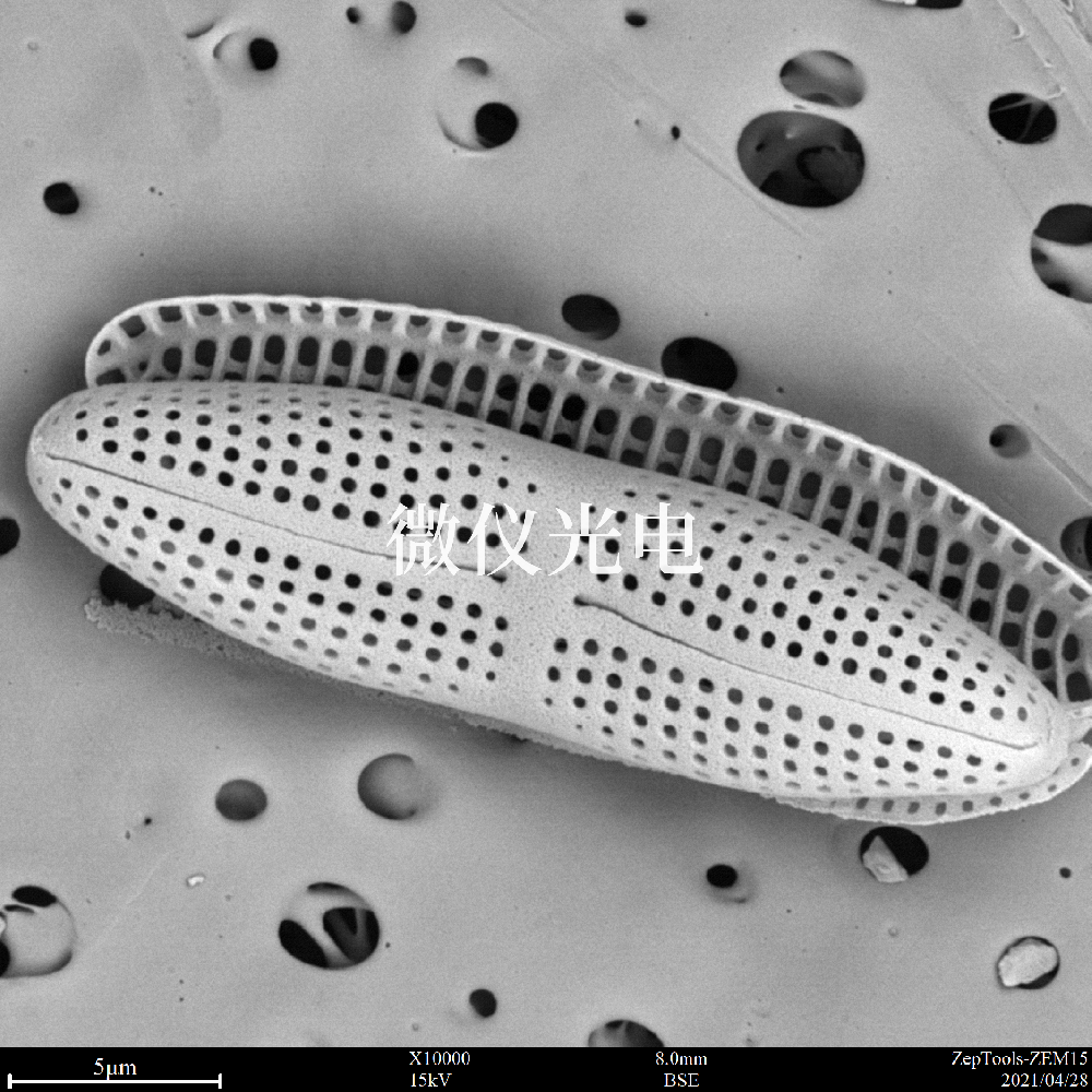 掃描電子顯微鏡的類(lèi)型有這些你之前了解過(guò)嗎？